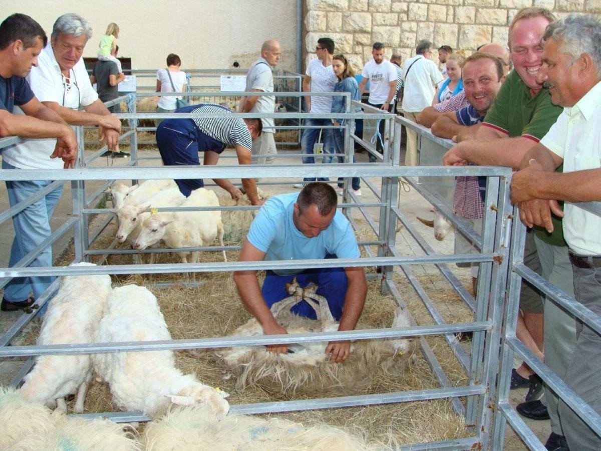 דירות באסקה Adriatic Arteon מראה חיצוני תמונה